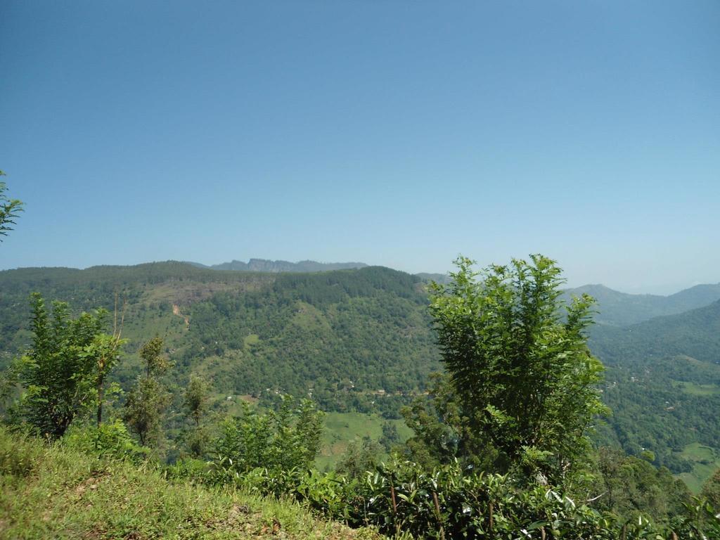 Mount River View Kandy Bagian luar foto