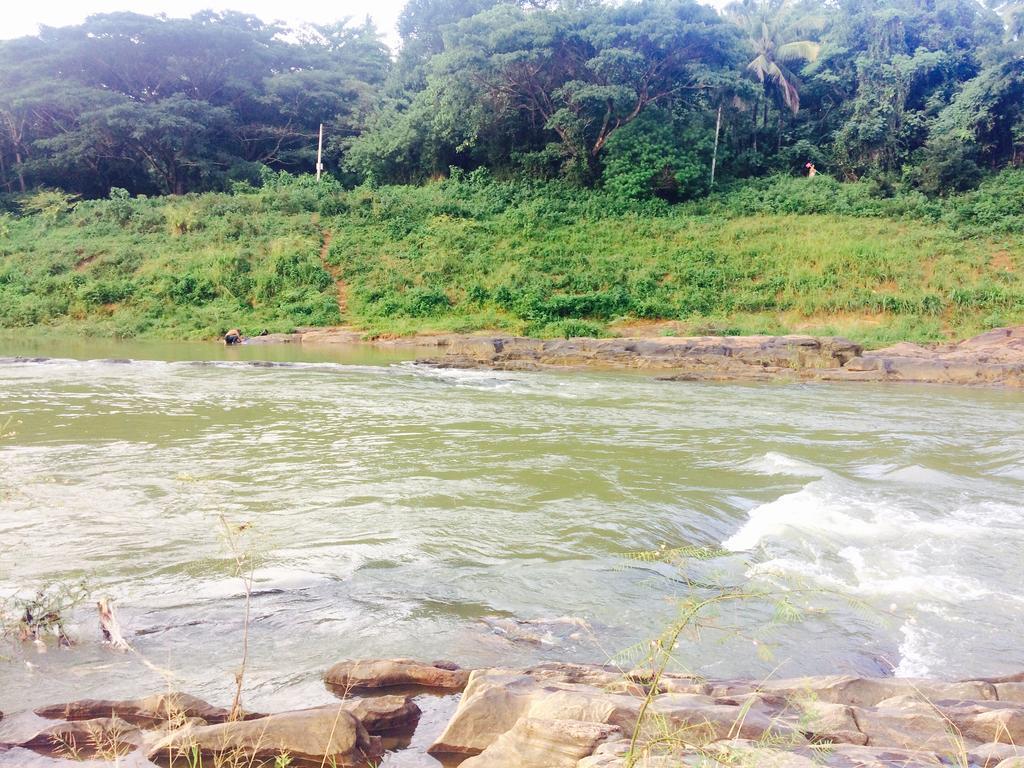 Mount River View Kandy Bagian luar foto