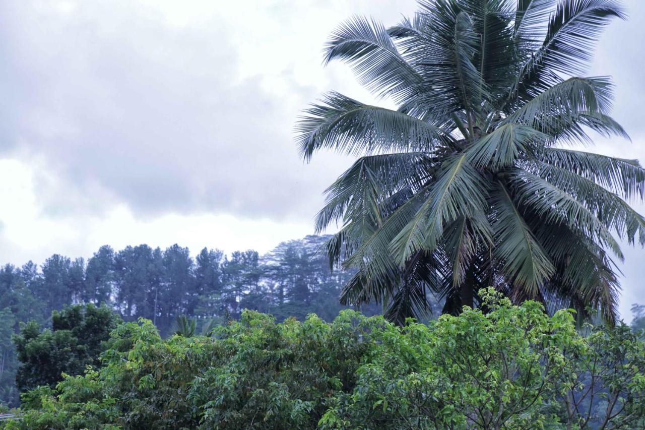 Mount River View Kandy Bagian luar foto