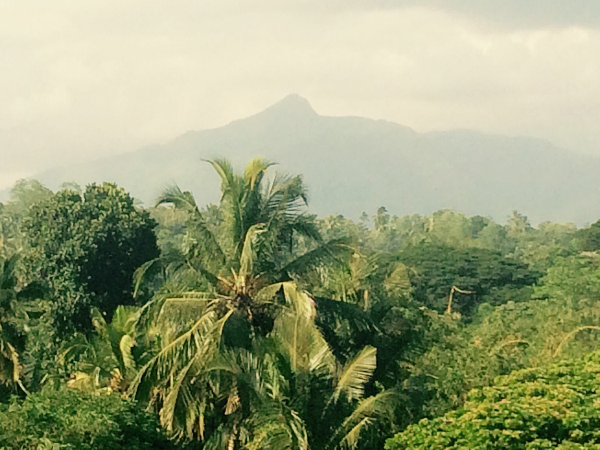 Mount River View Kandy Bagian luar foto